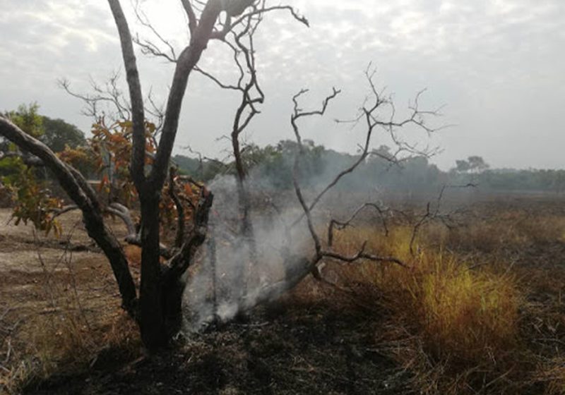  Incendio en El Tuparro redujo a cenizas 1.200 hectáreas