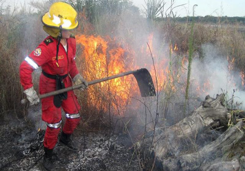  Cinco mil hectáreas de bosque nativo han consumido los incendios en el Meta