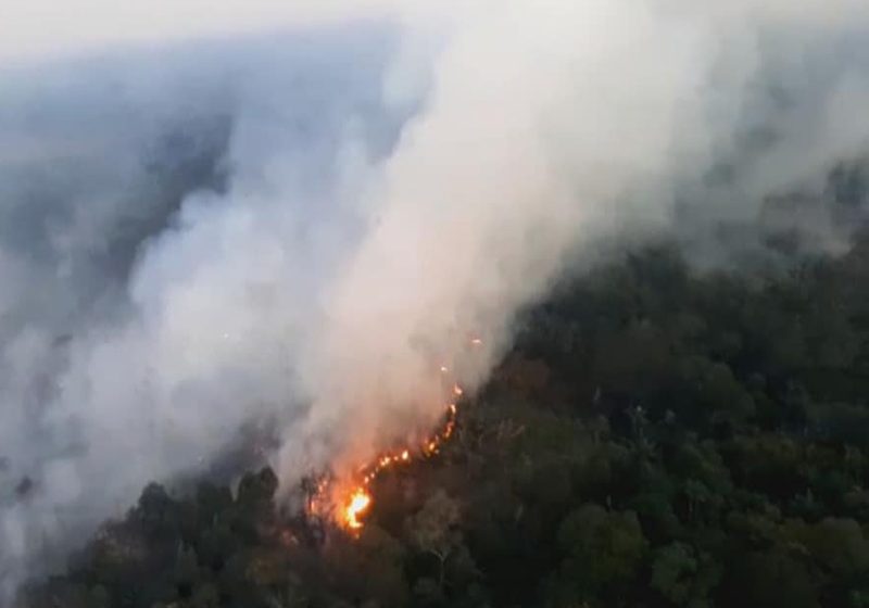  Atribuyen a disidencias de la extinta Farc incendio en el Tinigua en la Macarena