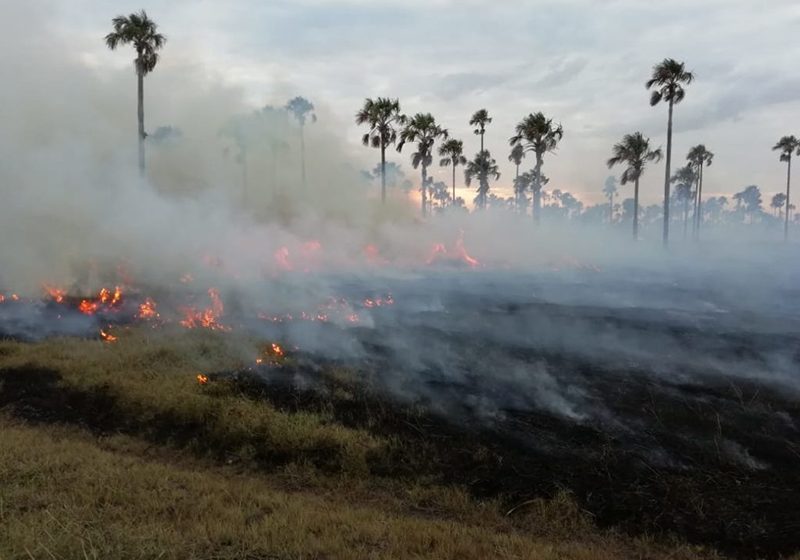  Arde Arauca por la intensidad de incendios forestales