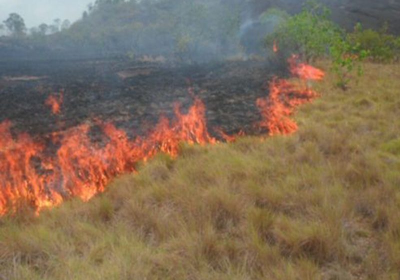  Cinco mil hectáreas de bosque se quemaron en Arauca