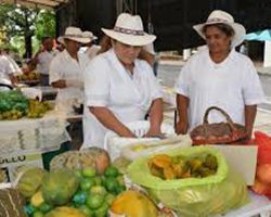  Mercado Campesino el viernes