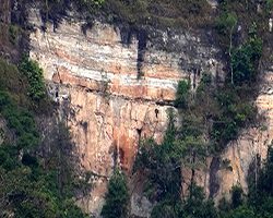  Campesinos apoyan la restauración del Parque los Picachos