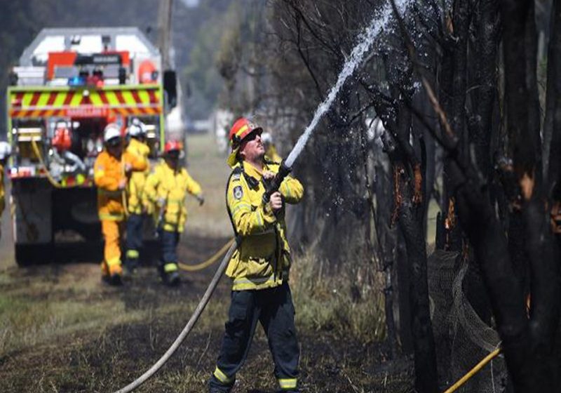  Emergencia en Australia por los incendios forestales que se acercan a Sídney
