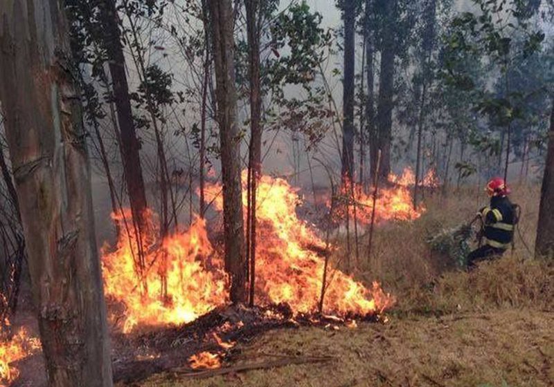  Alcalde de San Martín aseguró que ha acompañado a los Bomberos en la prevención de incendios