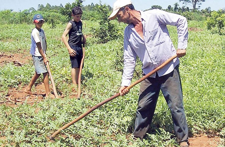  Agencia de Desarrollo Rural pidió a campesinos formular iniciativas agrícolas para financiarlas