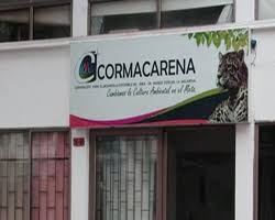  Comienza la puja de 65 profesionales por la dirección de Cormacarena