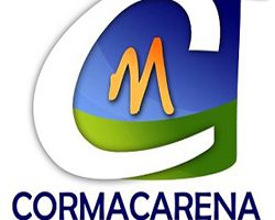  Mediante Tutela pretenden suspender la elección de Director en Cormacarena