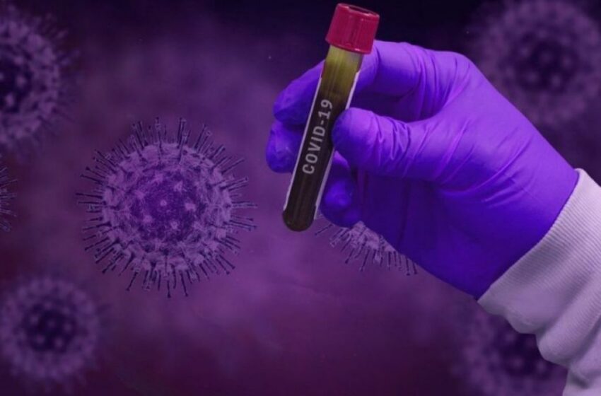  El mundo supera ya los 353.000 fallecidos a causa del coronavirus, según la OMS