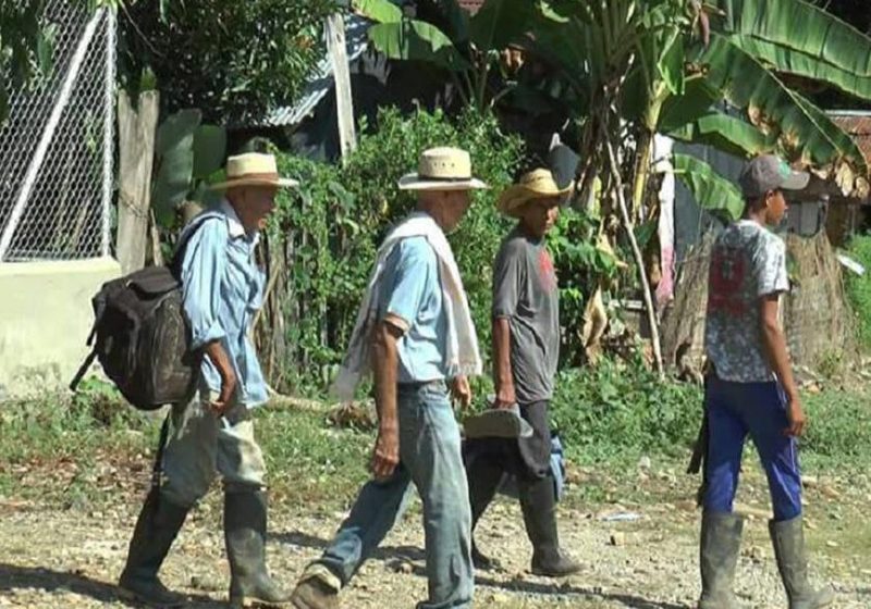  Más de 800 campesinos colombianos desplazados por presiones de grupos armados