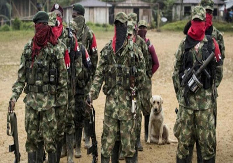  Veinte miembros del ELN se desmovilizan en zona rural del suroeste colombiano