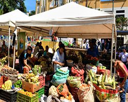  El viernes Mercado Campesino Regional en la Plaza Los Libertadores