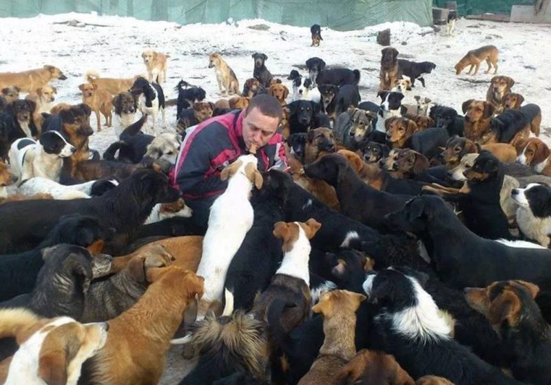  Cuida a más de 750 perros abandonados