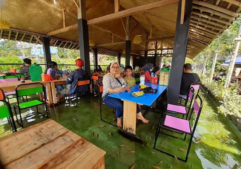  Restaurante ofrece pedicura con pescados mientras almuerzas