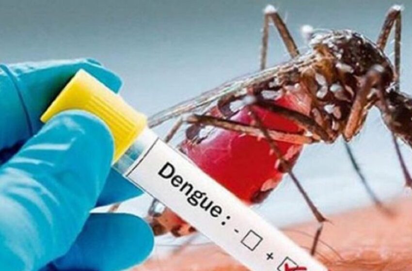  Alerta por Dengue y Malaria ante proliferación de zancudos en el Meta