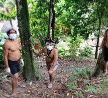  Indígenas de Colombia, Perú, Brasil y Bolivia, denunciaron que colonos y narcos están desforestando y sacándolos de su territorio