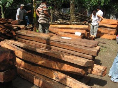  A disposición de autoridad, madera incautada en finca de familiares de ex alcalde en Cabuyaro
