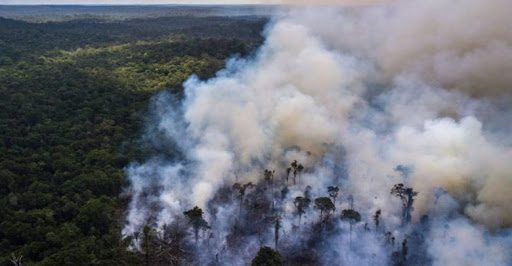  Amazonía brasileña sufre en junio los mayores incendios en más de una década
