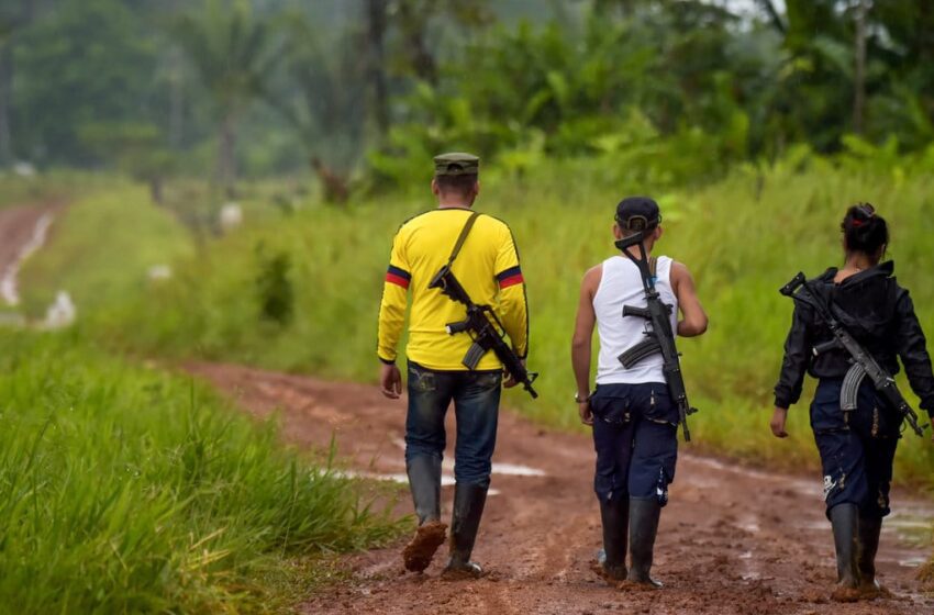  La ONU pide a actores armados colombianos cesar hostilidades ante pandemia