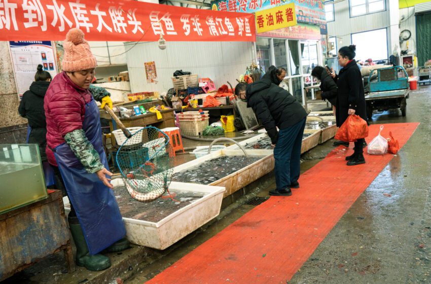  Ciudad china cierra mercados de marisco tras al menos 3 casos de coronavirus