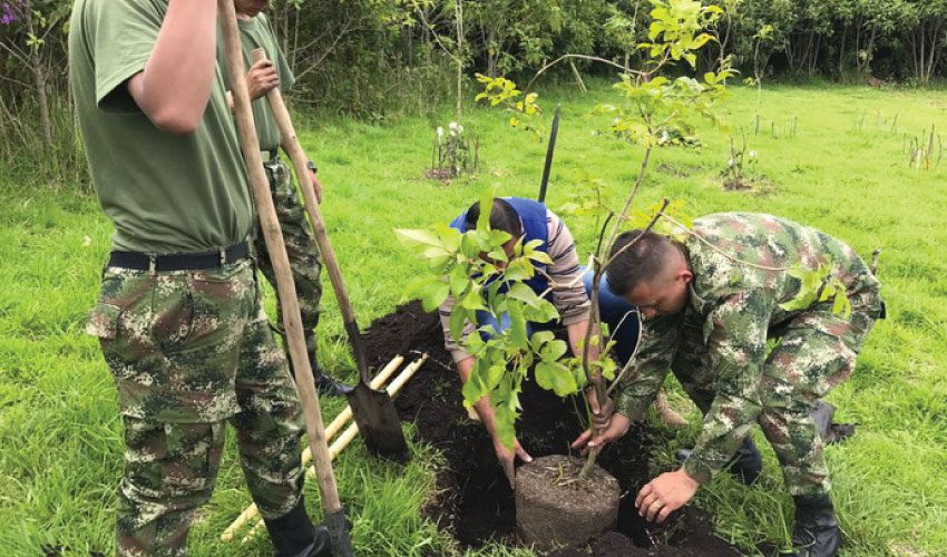  El ejército cuida la naturaleza en Vaupés