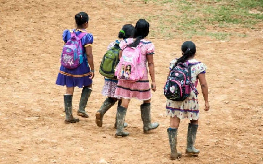  Doce serían los casos de menores indígenas abusadas sexualmente en Guaviare