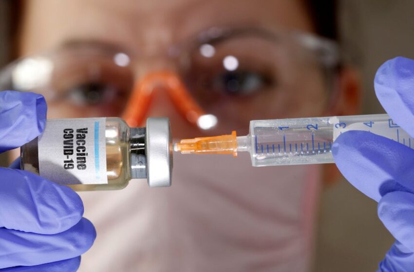  La vacuna de Moderna produce inmunidad «robusta» en primates