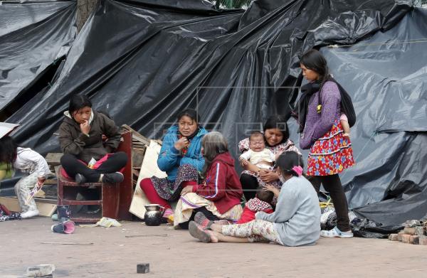  Indígenas acampan en parque de Bogotá y exigen albergue fijo durante pandemia