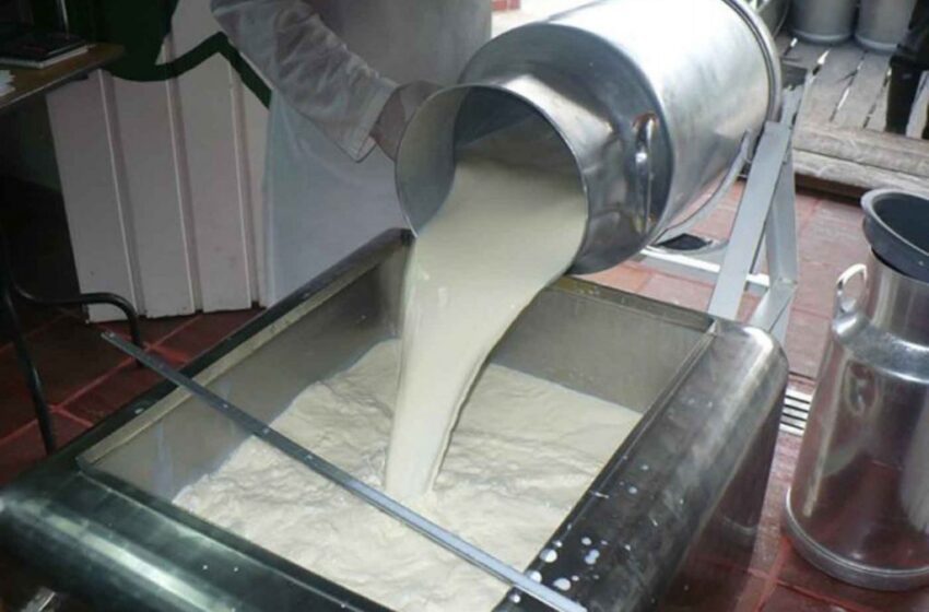  Con la importación de leche autorizada por el Gobierno, se está arruinando a los campesinos productores