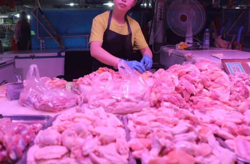  China detecta trazas de coronavirus en muestras de alitas de pollo de Brasil