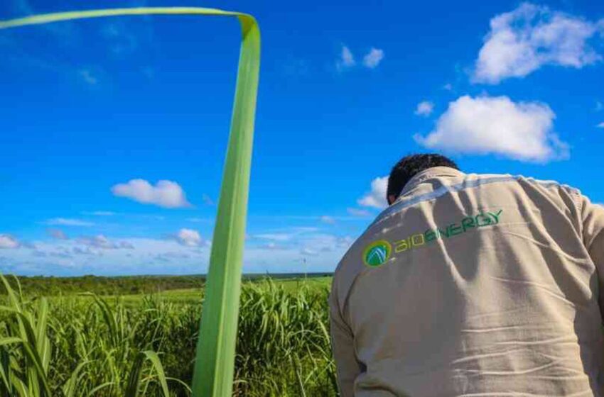  Bioenergy empezó a pagar las acreencias reportó el agente liquidador
