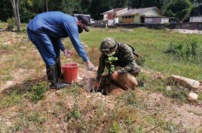  Los militares trabajan en reforestación en municipios del Meta