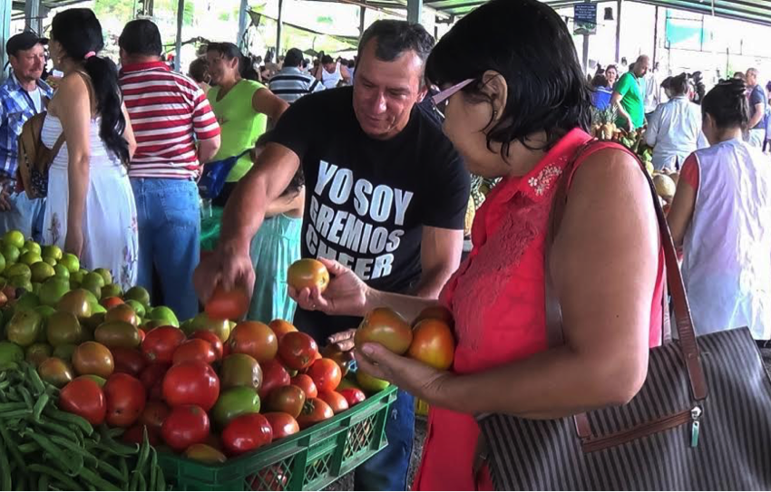  Mercado Campesino este sábado 26 en El Virrey