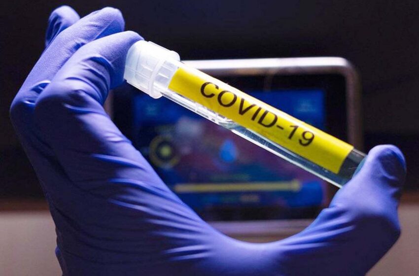  Los casos de coronavirus a nivel mundial se elevan a 25,8 millones