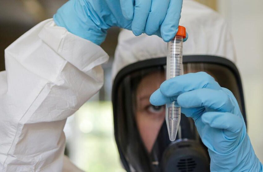 OMS alerta sobre los riesgos del uso prematuro de una vacuna contra la COVID