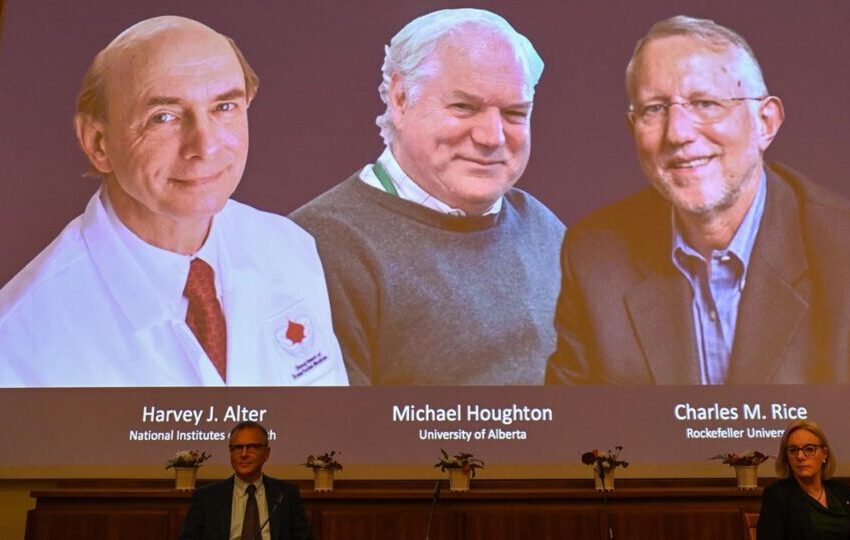  Nobel de Medicina a tres virólogos por descubrir el virus de la hepatitis C