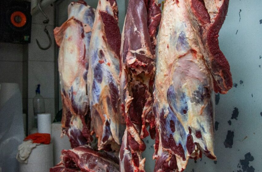  290.6 kilos de carne confiscó la secretaría de Salud en Apiay