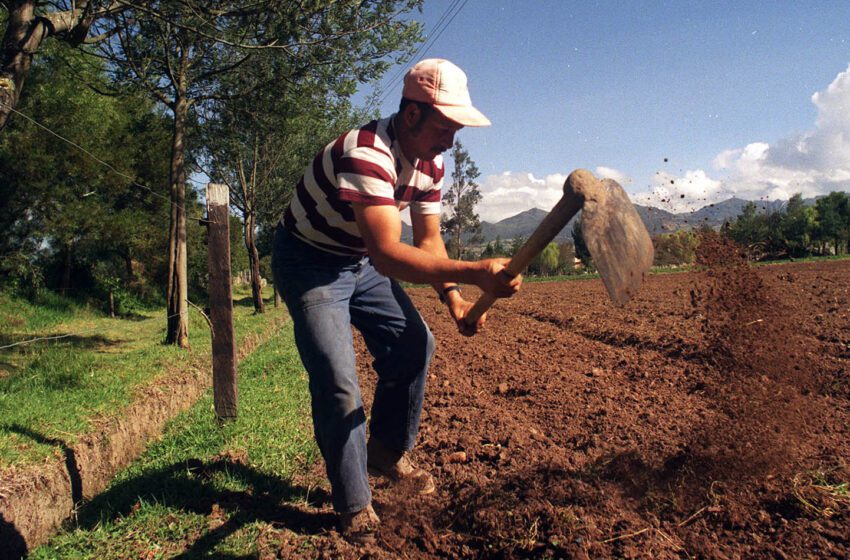  La política gubernamental arruina a los agricultores del Ariari y de Colombia