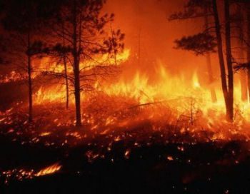  Inician campañas contra incendios forestales