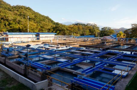 El Gobierno nacional reconoce tarea cumplida por la Empresa de Acueducto y Alcantarillado