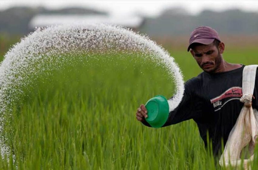  Mejorar condiciones de comercialización del arroz, piden al Presidente Duque