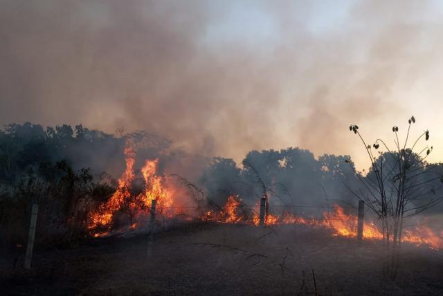  El Gobierno alerta por situación climática y el peligro de incendios