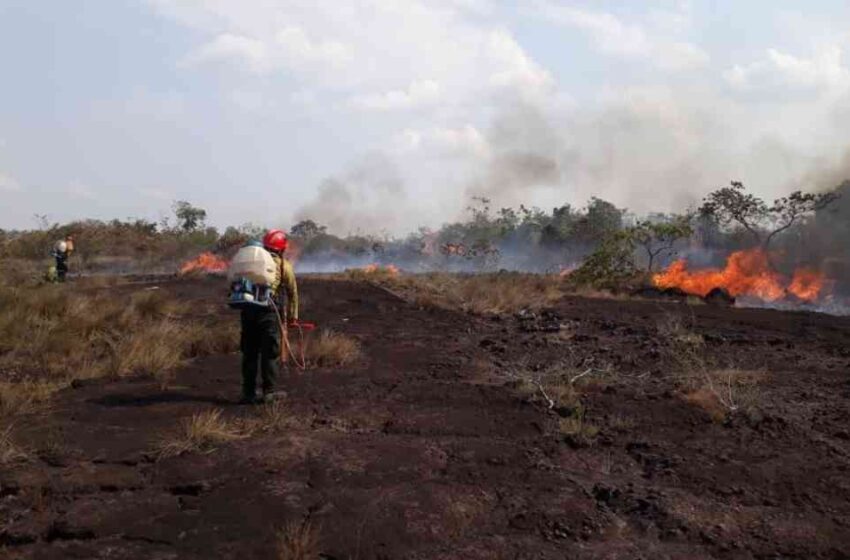  Incendio en sector del Guaviare amenaza a tribu indígena