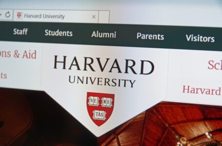 Esta es la oportunidad porque ahora todos pueden estudiar gratuitamente, incluso en Harvard