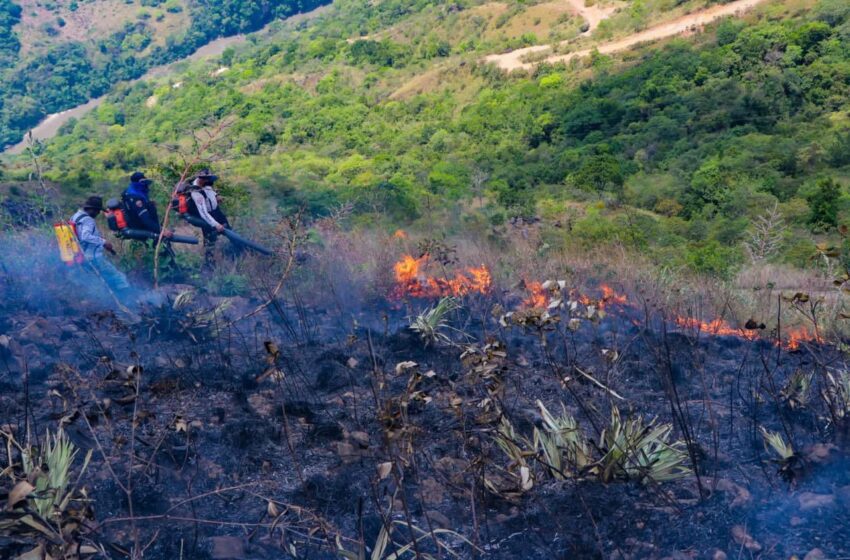  Alcaldesa de Barranca de Upía pide se judicialice a responsables de incendio en cerro Guaicaramo