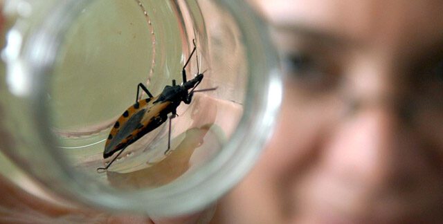  Alerta en Arauca por enfermedad de Chagas