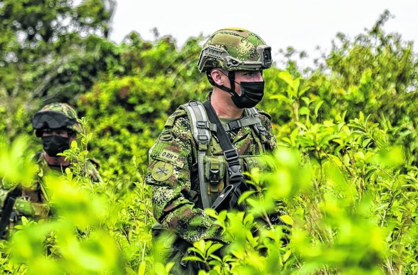  El Ejército y la Armada intensifican la lucha contra el narcotráfico