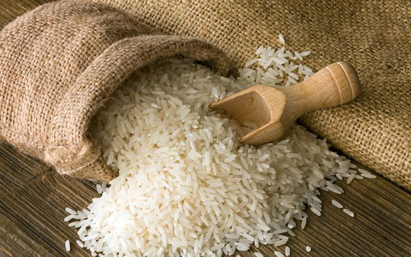  La importación de arroz es atentatoria contra la economía, el empleo y causa mayores males