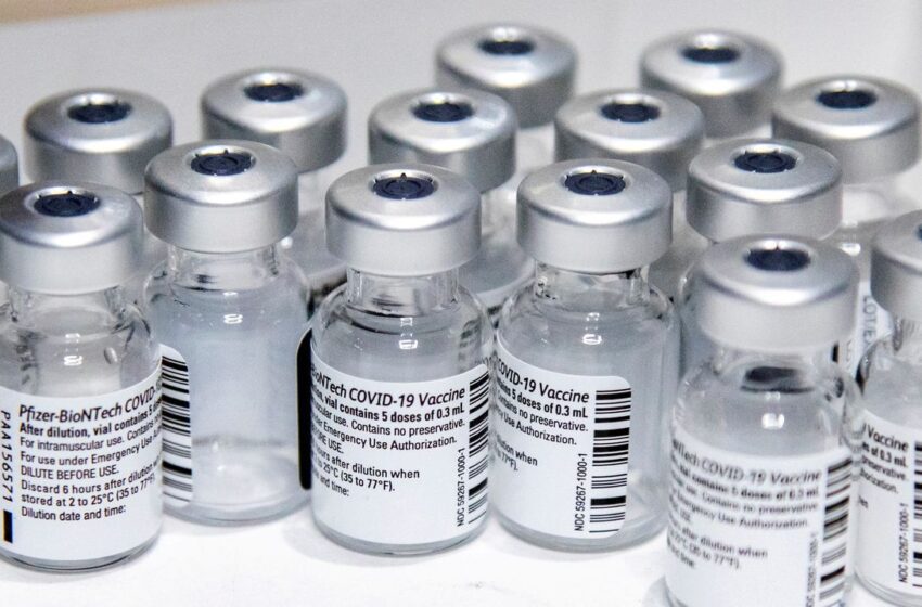  Estados Unidos autoriza la vacuna de Pfizer para la franja de 12 a 15 años