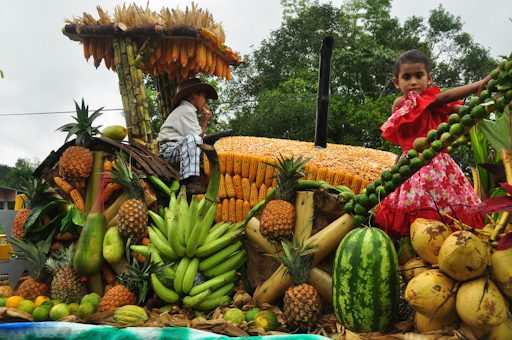  Con tráiler adheridos a tractores transportarían productos desde el Ariari a Acacías y Villavicencio